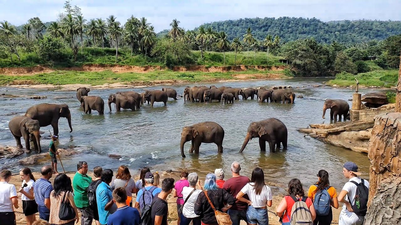 Sri Lanka Tour Package