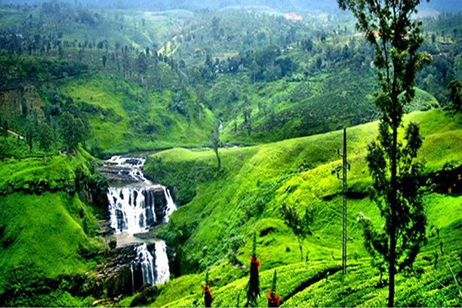 Sri Lanka Tour Package